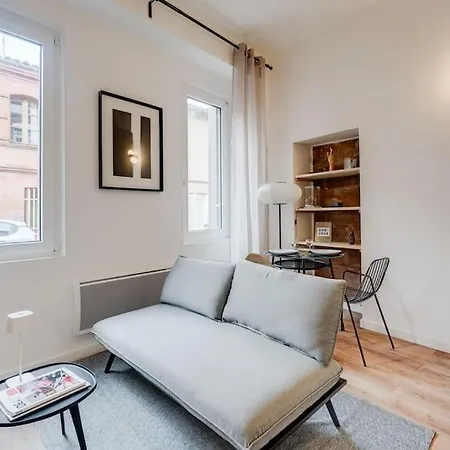 Ღ Le Cocon De St Aubin - Suite Au Coeur De Toulouse Buitenkant foto